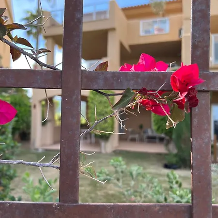 Impresionante Apartamento De Lujo Con Jardin Estepona Exterior photo